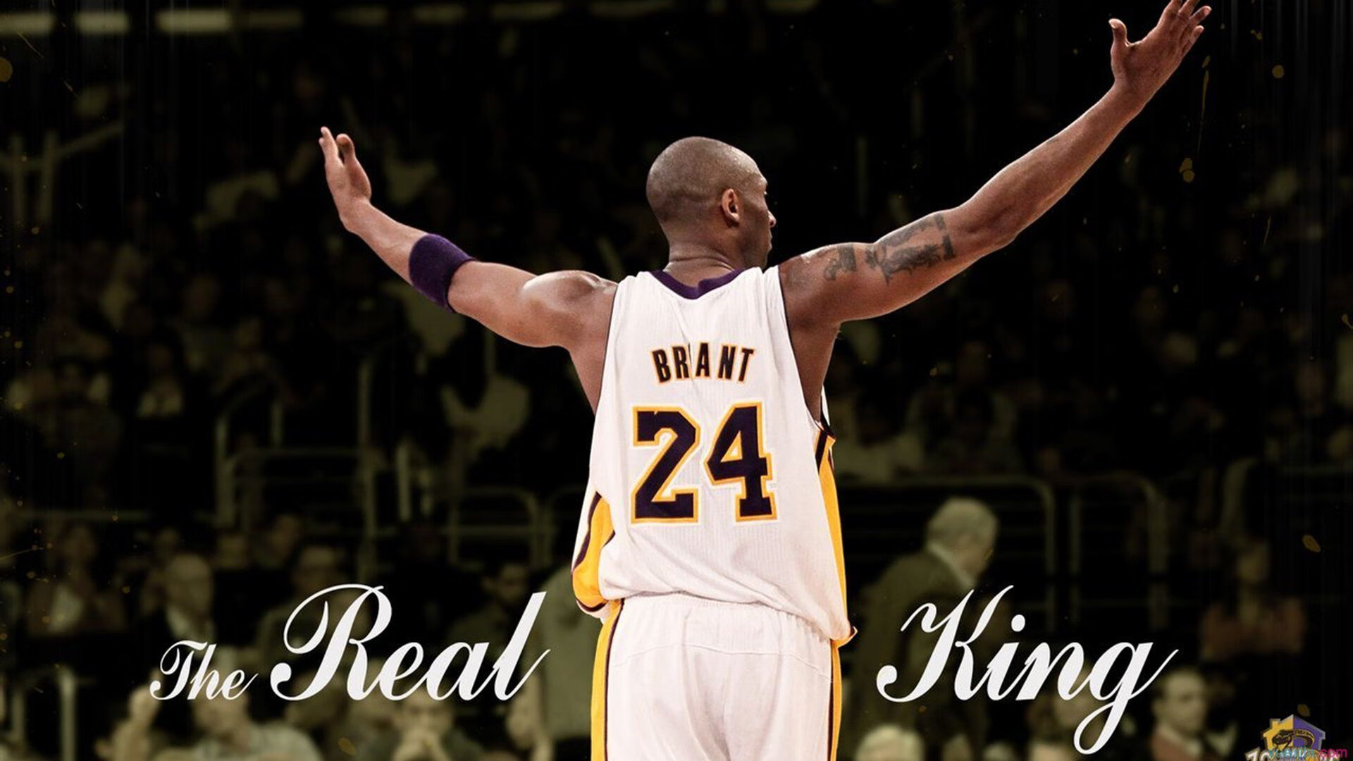 世俱杯：南美豪门争夺世界冠军荣耀，世俱杯南美球队